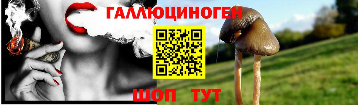 Псилоцибиновые грибы Magic Shrooms  цены   Псилоцибиновые грибы Psilocybe  Южноуральск  Вход с VPN 
